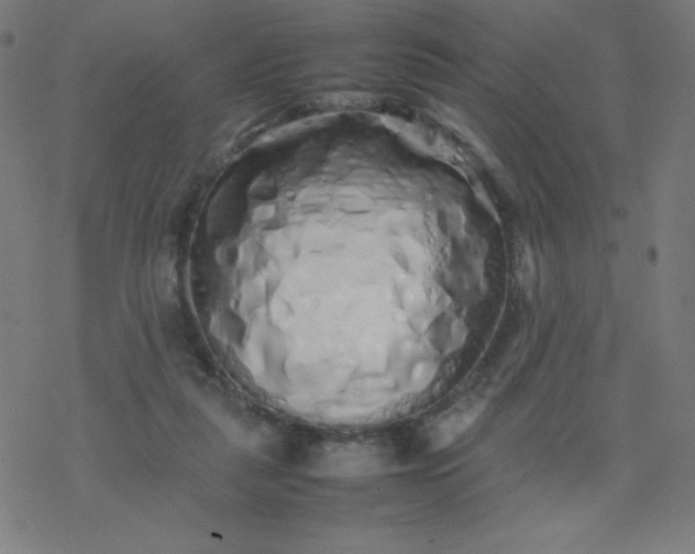 X0000077380259200611031944