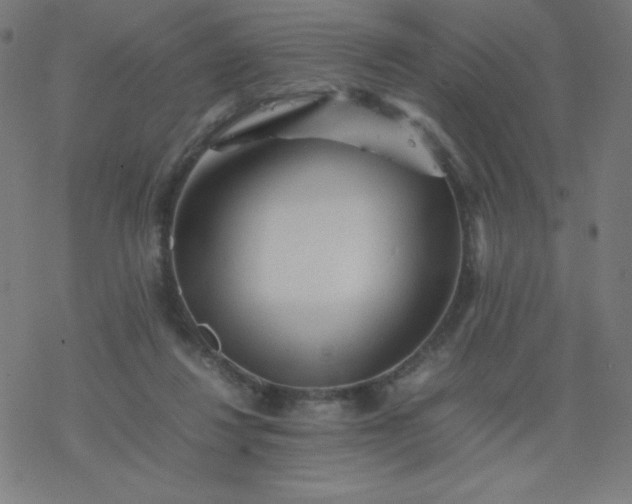 X0000077380260200611031944