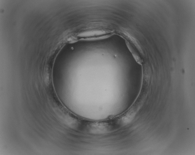 X0000077380261200611031944