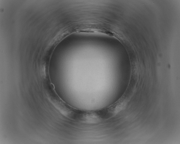 X0000077380262200611031944