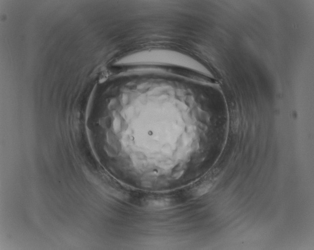 X0000077380263200611031944