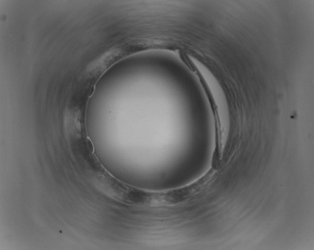 X0000077380264200611031944