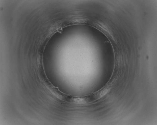 X0000077380265200611031944