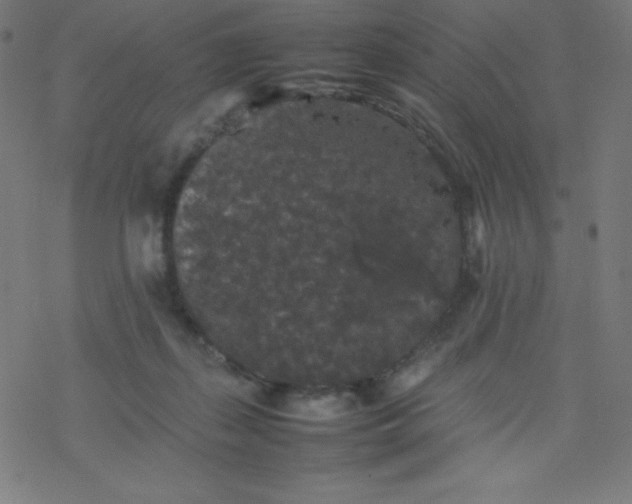 X0000077380267200611031944