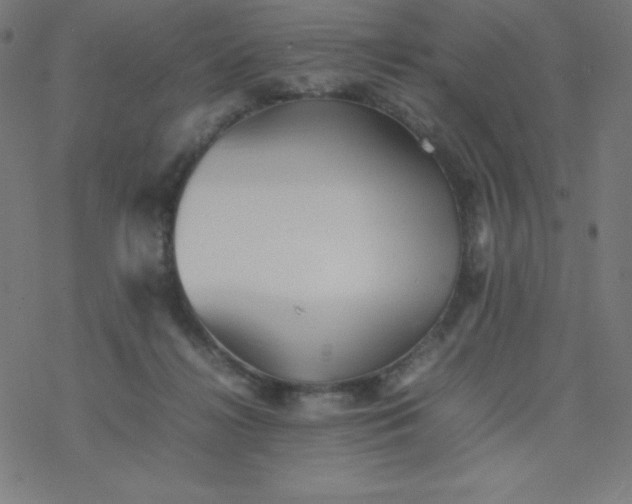 X0000077380268200611031944