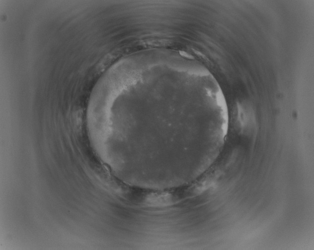 X0000077380271200611031944