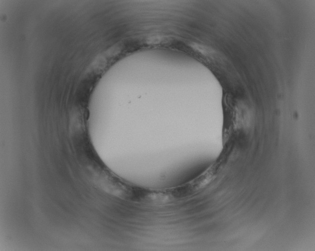 X0000077380272200611031944