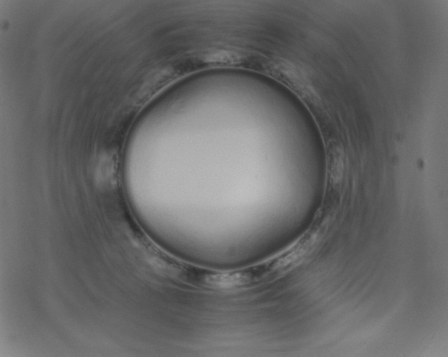 X0000077380273200611031944