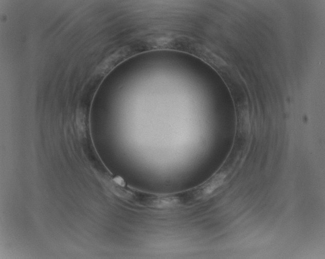 X0000077380274200611031944