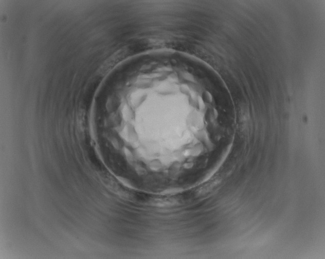 X0000077380275200611031944