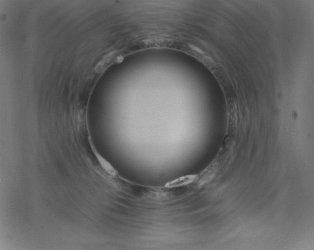 X0000077380276200611031944