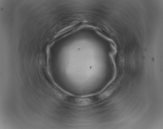 X0000077380277200611031944