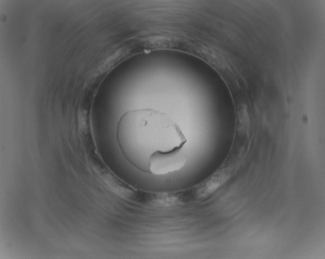 X0000077380278200611031944