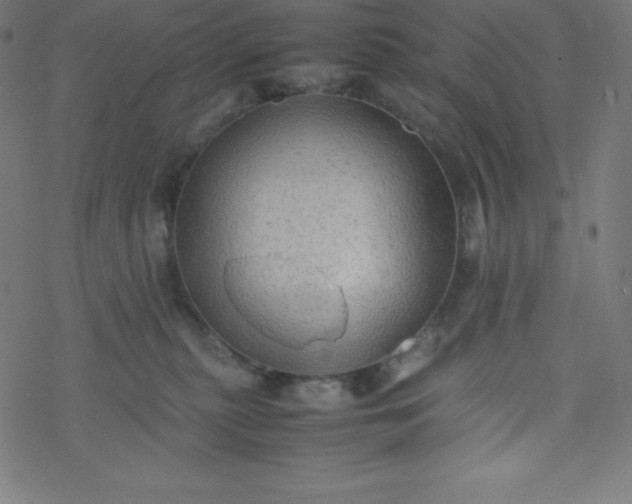 X0000077380279200611031944