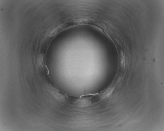 X0000077380280200611031944