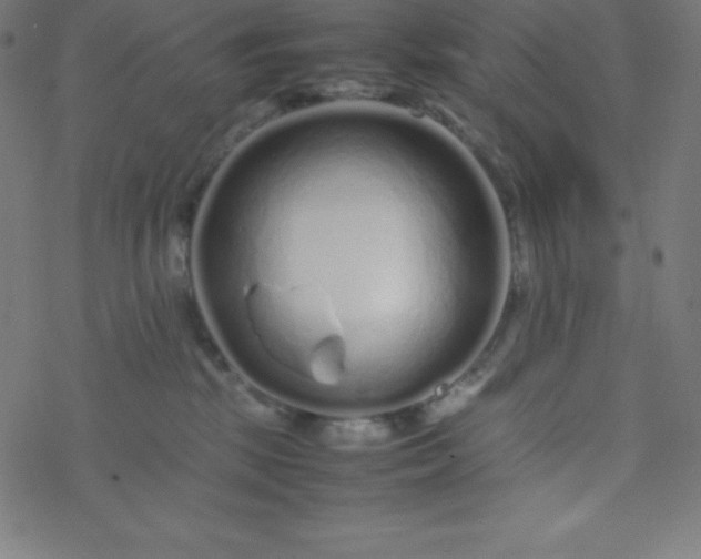 X0000077380281200611031944