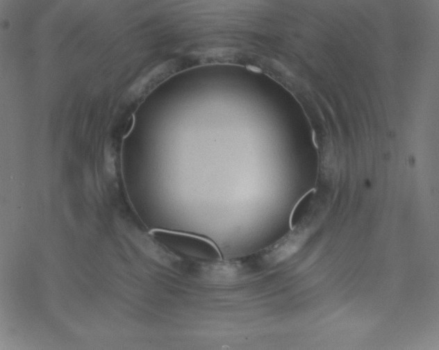 X0000077380282200611031944