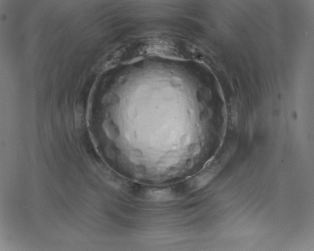 X0000077380283200611031944