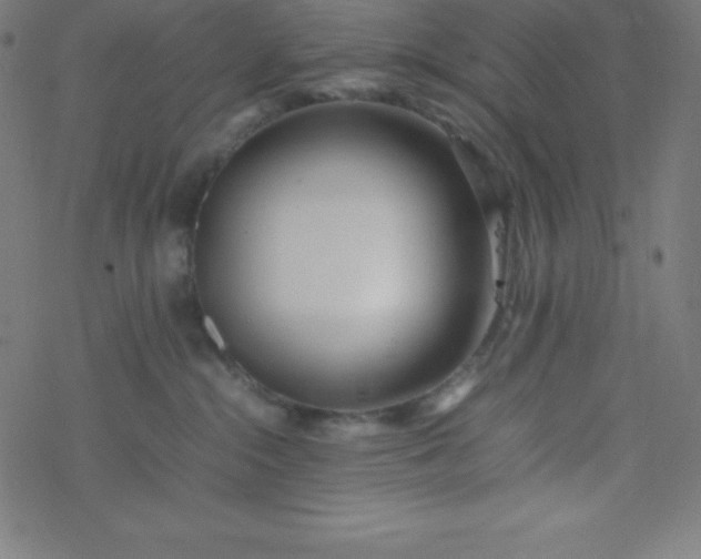 X0000077380284200611031944