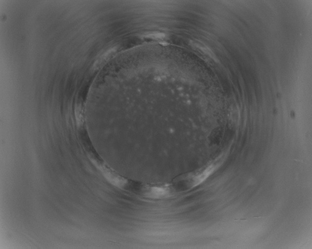 X0000077380285200611031944