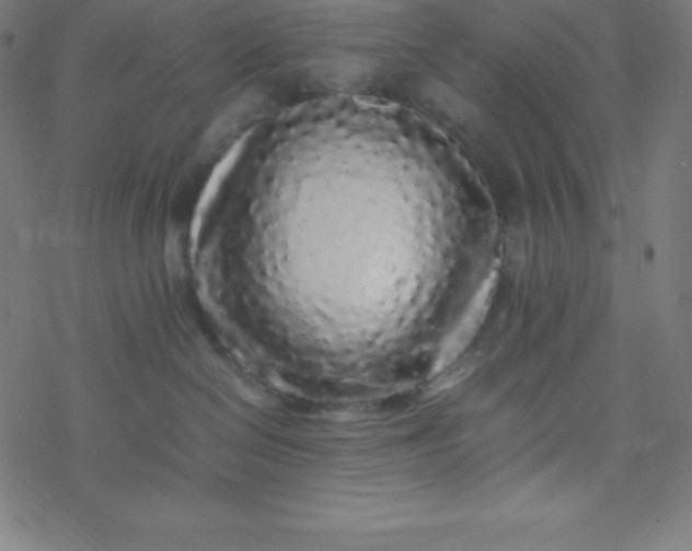 X0000077380286200611031944