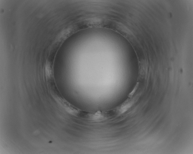 X0000077380287200611031944