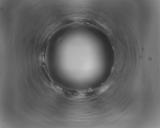 X0000077380288200611031944