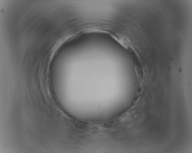 X0000077380289200611031943