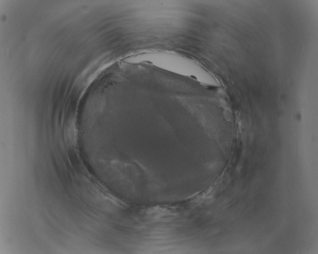 X0000077380290200611031943