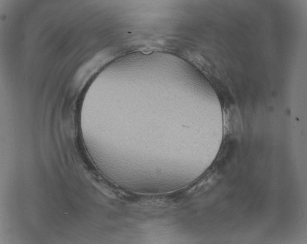 X0000077380291200611031943