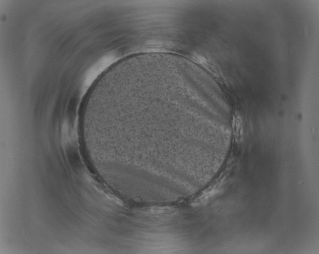 X0000077380292200611031943