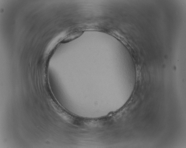 X0000077380293200611031943