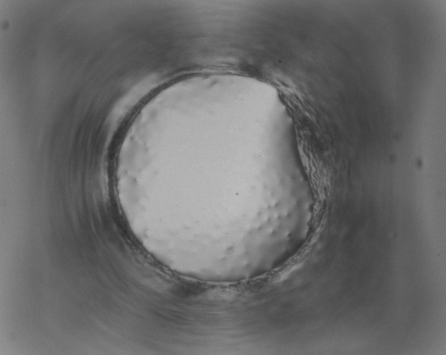 X0000077380294200611031943