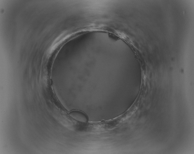 X0000077380295200611031943