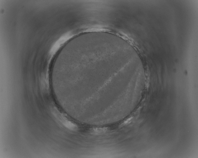 X0000077380296200611031943