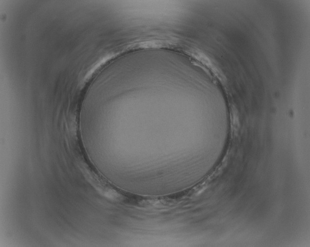 X0000077380297200611031943