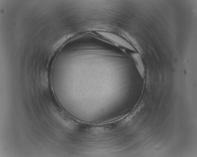 X0000077380298200611031943