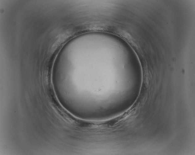 X0000077380299200611031943