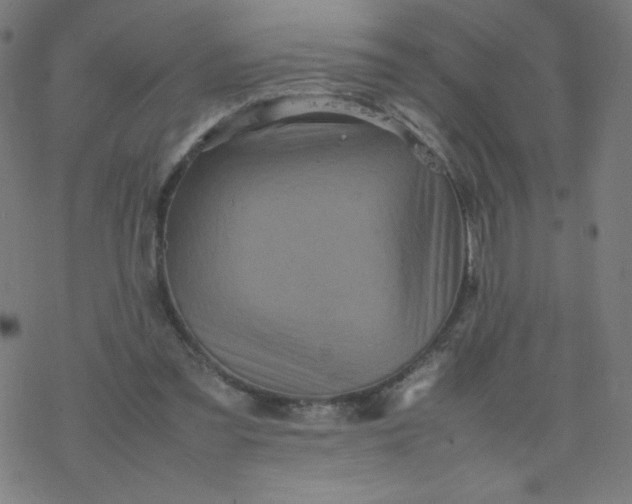 X0000077380301200611031943