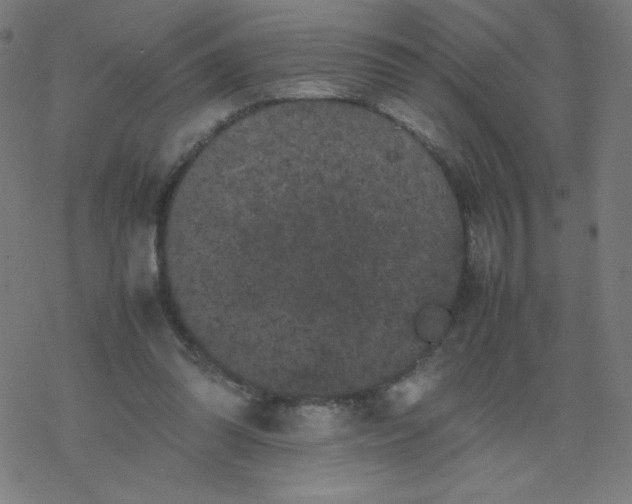 X0000077380302200611031943