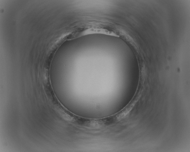 X0000077380305200611031943