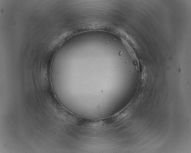 X0000077380306200611031943