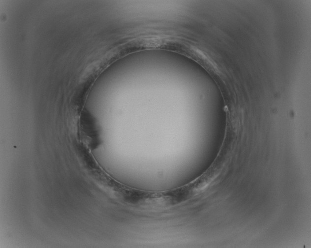 X0000077380307200611031943