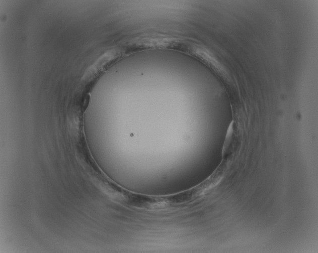 X0000077380309200611031943