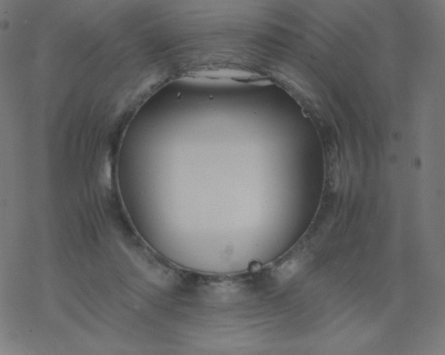 X0000077380310200611031943