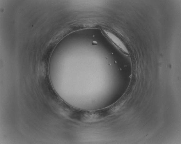 X0000077380311200611031943