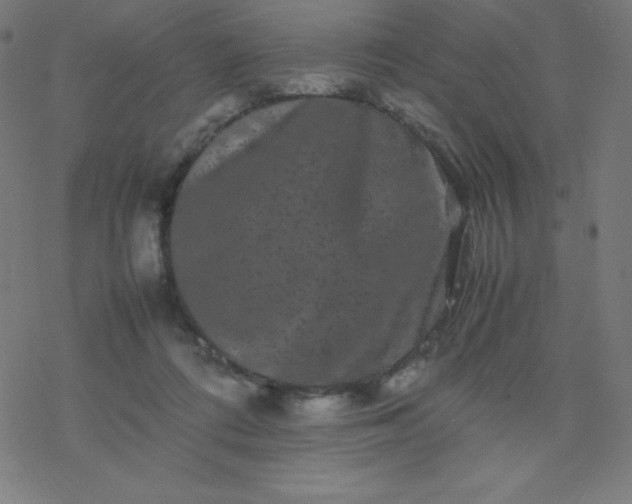 X0000077380312200611031943