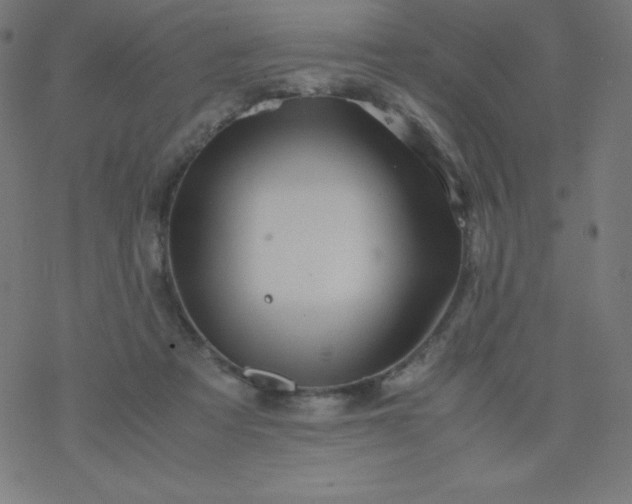 X0000077380313200611031943