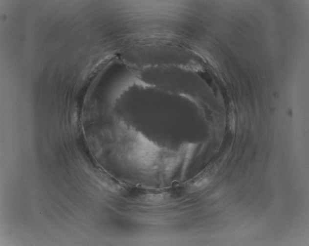 X0000077380314200611031943