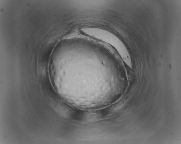 X0000077380315200611031943